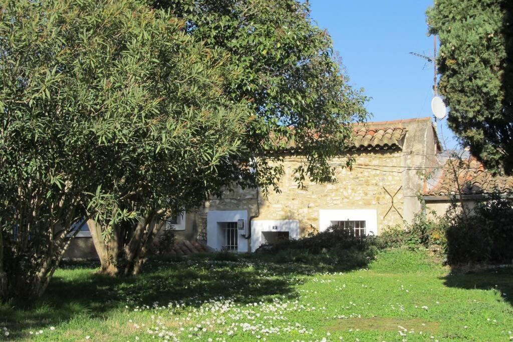 Gite De L'Eglise Sablet 外观 照片